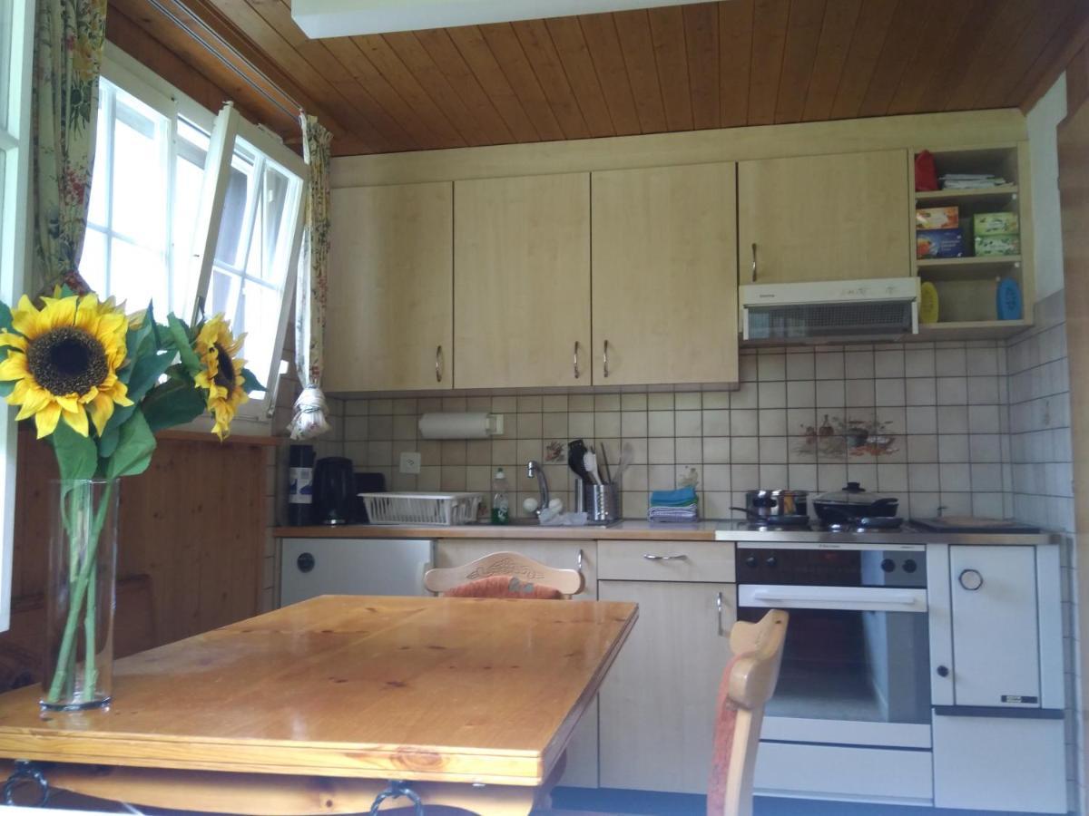 Ferien Cottage Flüehblüemli Stechelberg Exterior foto