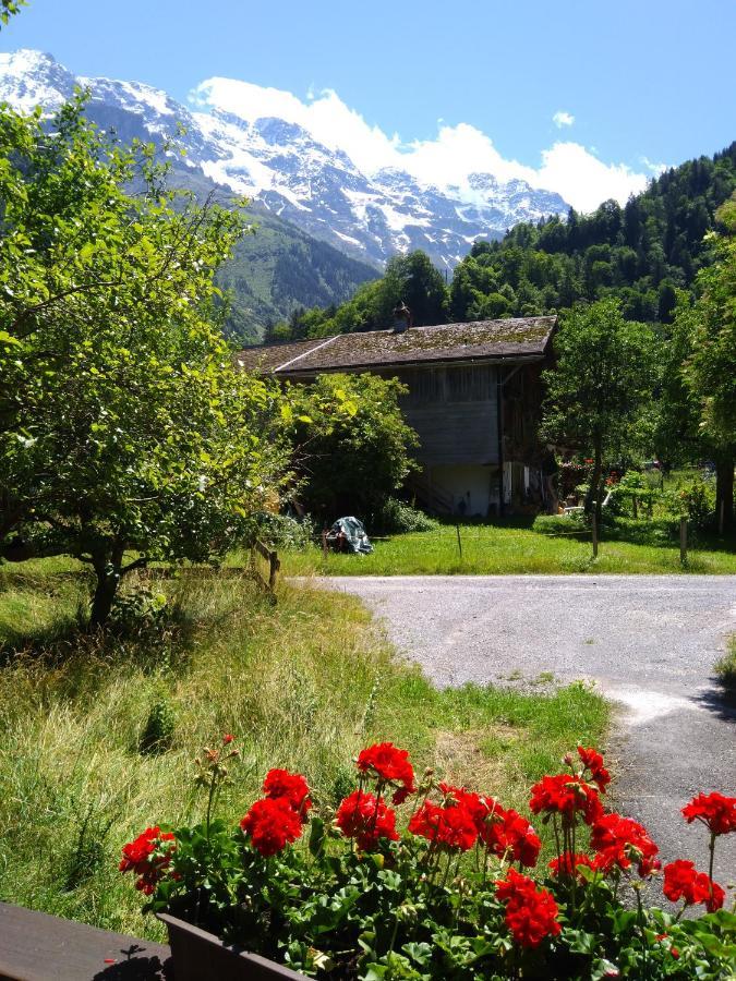 Ferien Cottage Flüehblüemli Stechelberg Exterior foto