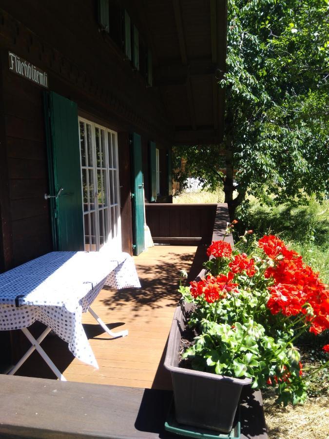 Ferien Cottage Flüehblüemli Stechelberg Exterior foto